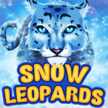 Snow Leopard