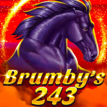 Brumby's 243